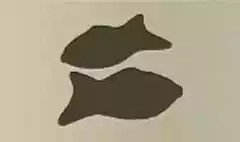 魚