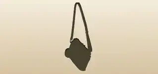 Camera silhouette