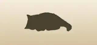 ネコ