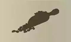 コーヒー豆