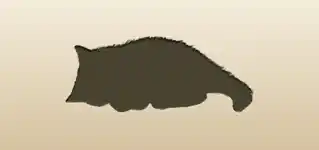 Cat silhouette