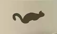 ネコ