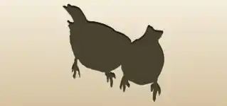 Sparrows silhouette