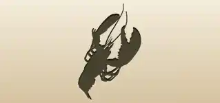 Lobster silhouette