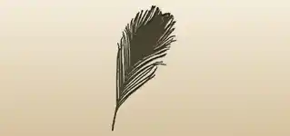 Peacock Feather silhouette