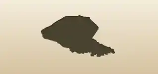 コーヒー豆