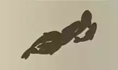 魚