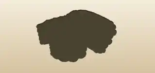 トウモロコシ