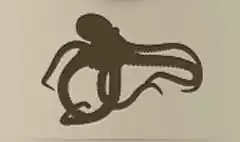 タコ