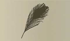 Peacock Feather silhouette