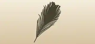 Peacock Feather silhouette