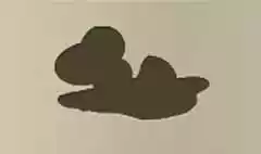 卵