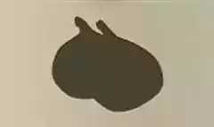 イチジク
