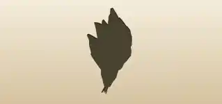 魚