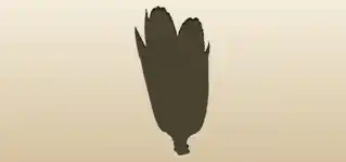 Corn silhouette