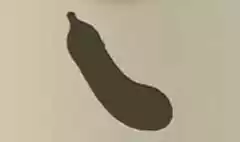 ナス