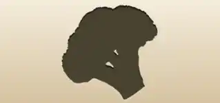 Broccoli silhouette