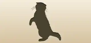 Cat silhouette