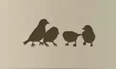 スズメ