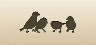 Sparrows silhouette