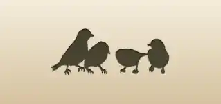スズメ