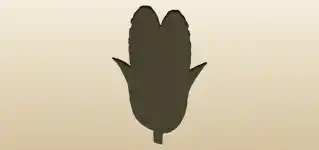 Corn silhouette
