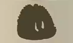 タコ