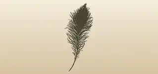 Peacock Feather silhouette