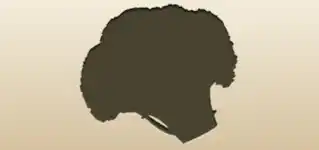 Broccoli silhouette