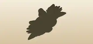 ムール貝