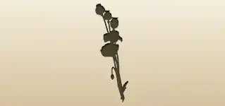 Poppies silhouette