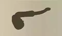 喫煙パイプ