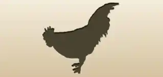 Rooster silhouette