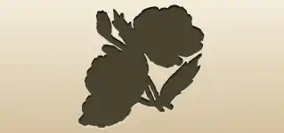 Poppies silhouette