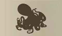 タコ