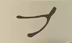 鳥の鎖骨
