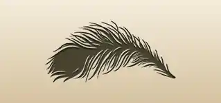 Peacock Feather silhouette