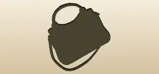 Handbag silhouette