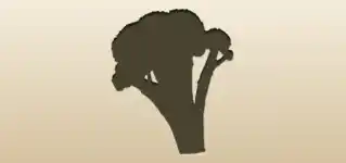 Broccoli silhouette