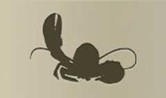 Lobster silhouette