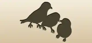 Sparrows silhouette