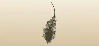 Peacock Feather silhouette