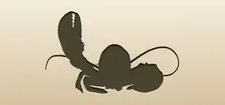 Lobster silhouette