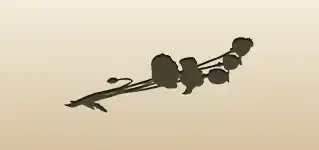 Poppies silhouette