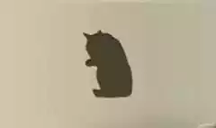 ネコ