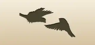 Sparrows silhouette