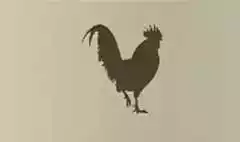 ニワトリ