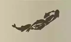 魚