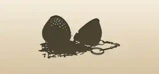 茶こし