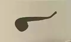 喫煙パイプ